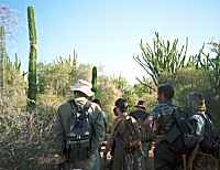 Didieraceae - click for larger image in new window