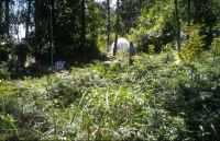 Tent at Camp 2 - click for larger image in new window