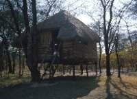 A Sekumi cabin