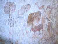 Bushman paintings - click for larger version