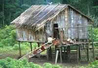 Village hut - click for larger version