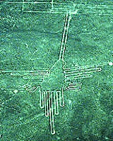 A humming bird - one of the Nazca Line images
