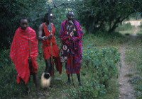 Our Masai guides