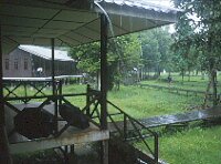 Rainy Main Camp