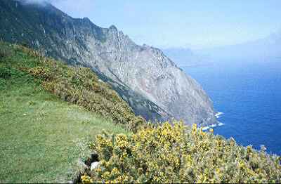 North cliffs