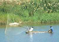 Locals fishing near Njobvu